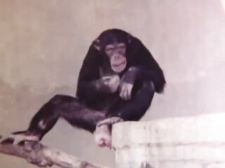 Exciting Film 947: Sex Inspiration